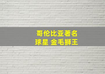 哥伦比亚著名球星 金毛狮王